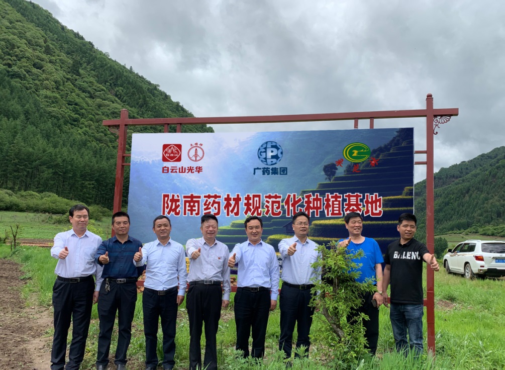 药材好，药才好 ——白云山幼柴胡颗粒北柴胡规范化种植基地正式揭牌！