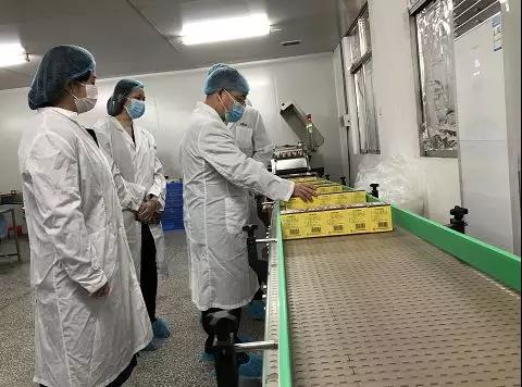 同心抗疫，确保质量！G22恒峰公司振隆厂表车间接受广药集团出产监督保险幼组工作督导