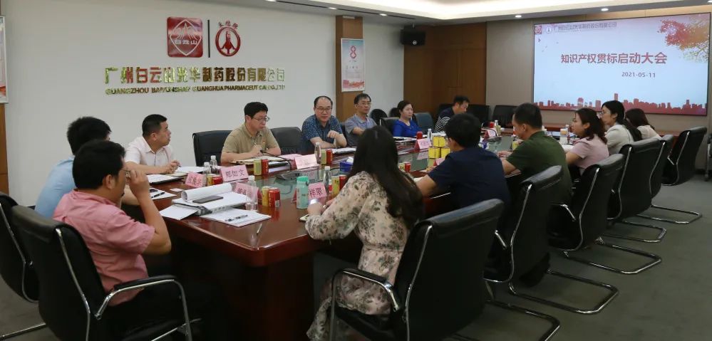 白云山G22恒峰公司召开知识产权贯标再认证启动会议